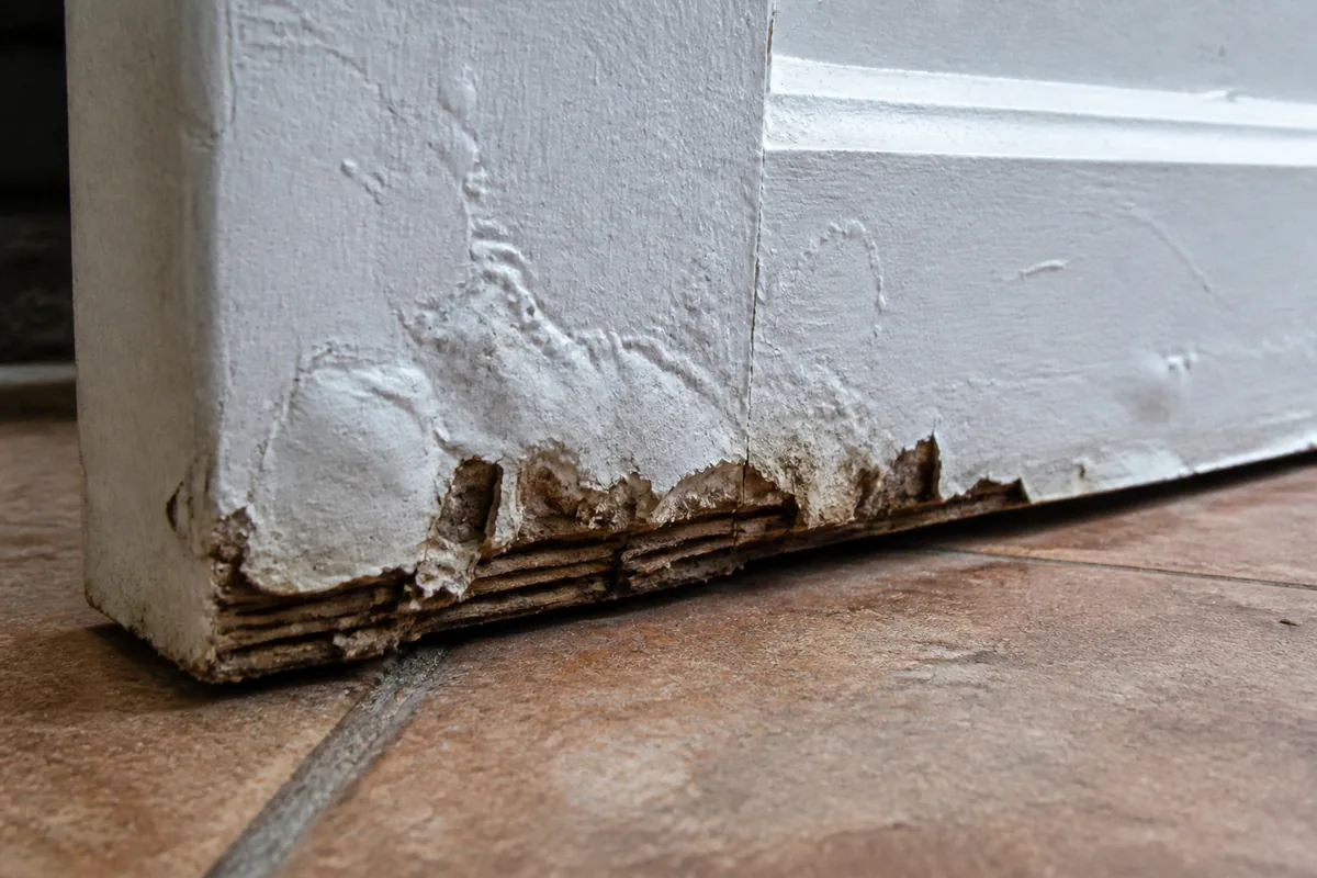 Swollen MDF door edge above a damp floor