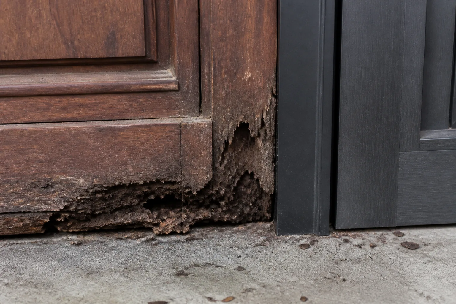 Termite damaged timber door compared with a clean WPC door edge