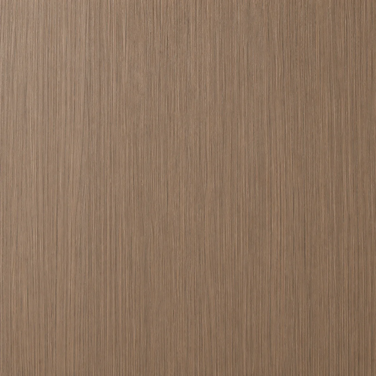 Fine vertical taupe woodgrain on the plain door face